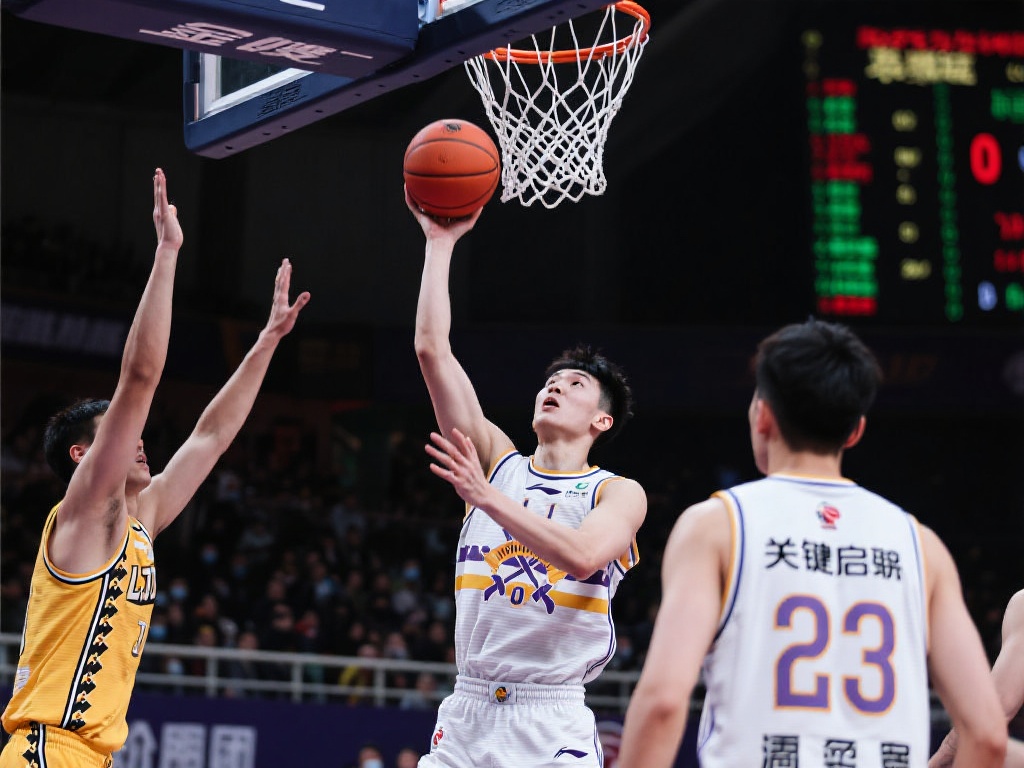 注以下几类 注以下几类